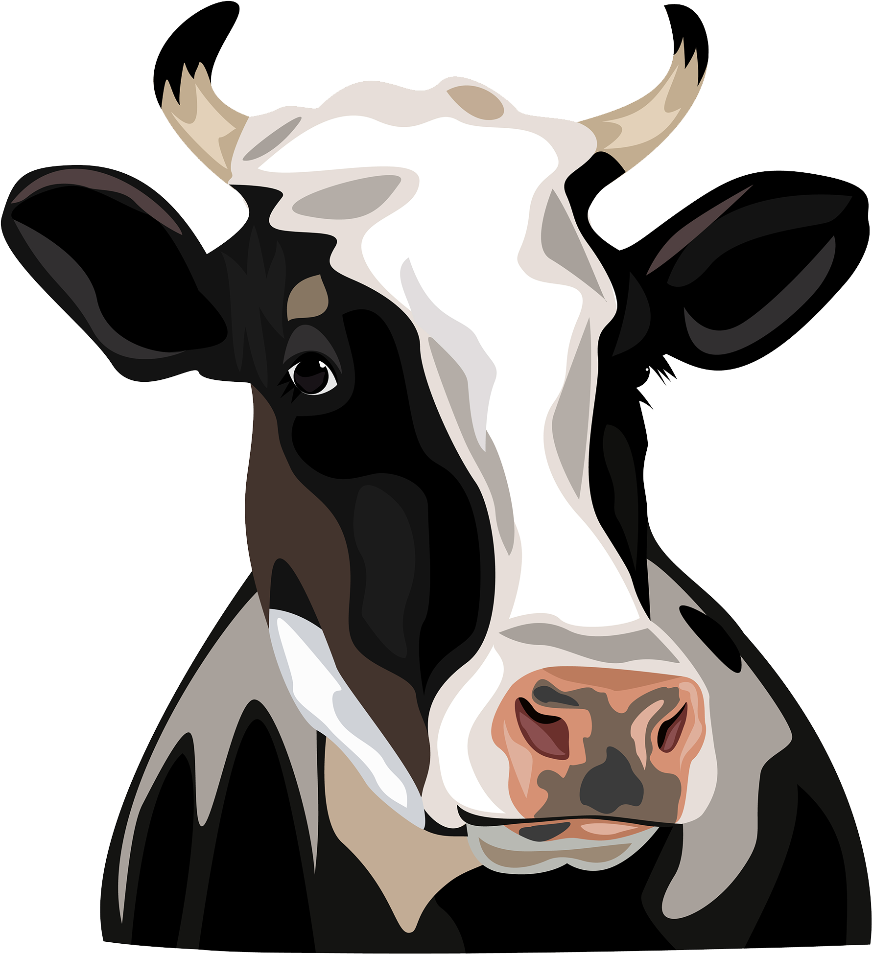 Clip Freeuse Library Holstein Friesian Cattle Clip - Cow Vector - Png Download (2000x2000), Png Download