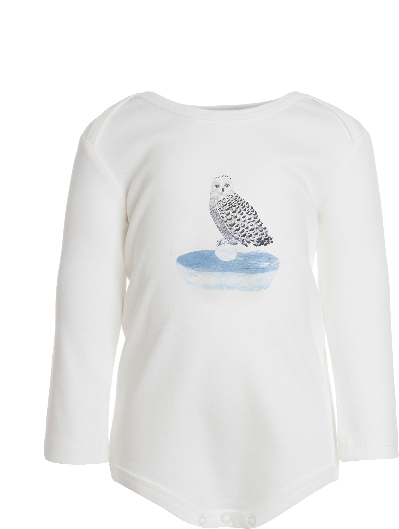 Ls Owl Body - Snowy Owl Clipart (1325x1757), Png Download