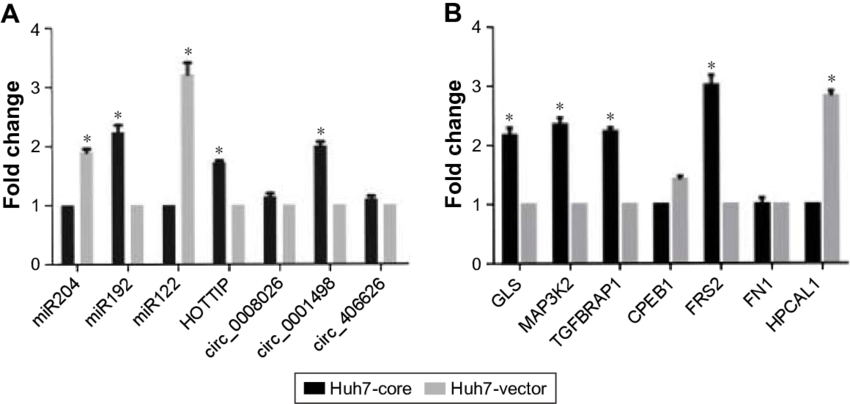 Identification Of Selected Gene Expression In Hcv Core - Skyline Clipart (850x404), Png Download