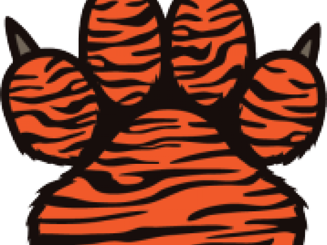 Drawing Of A Tiger Paw Clipart (640x480), Png Download