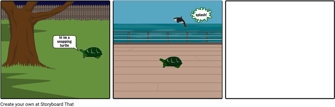 Turtle Eyes - Cartoon Clipart (1164x385), Png Download