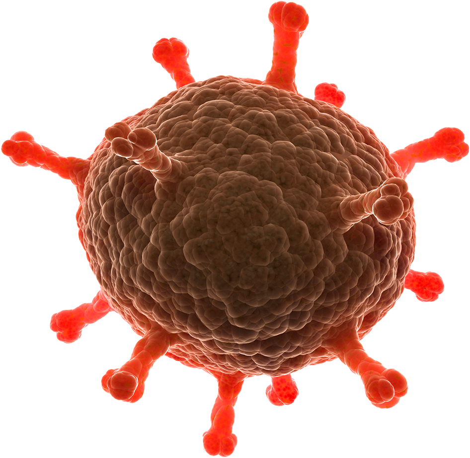 Disease Free Download Png - Disease Transparent Clipart (946x923), Png Download