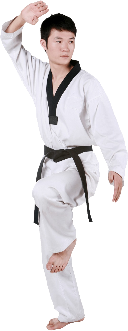 Taekwondo Png - Karate Clipart (537x1383), Png Download