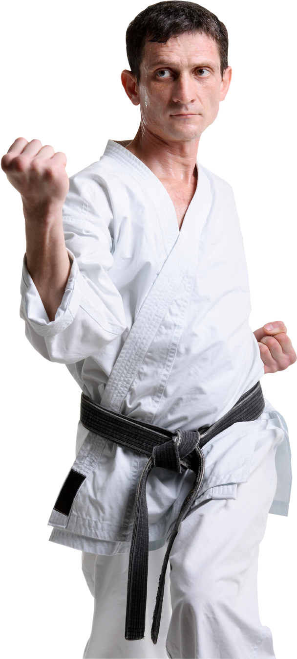 Karate Man Transparent Background Clipart (730x1385), Png Download