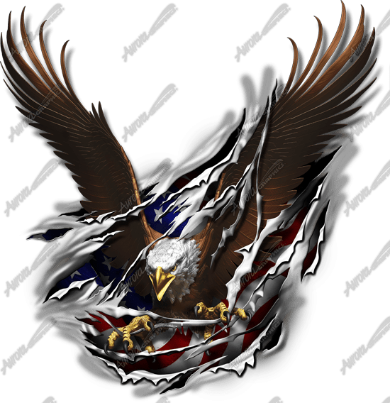 Eagle Clipart (550x568), Png Download