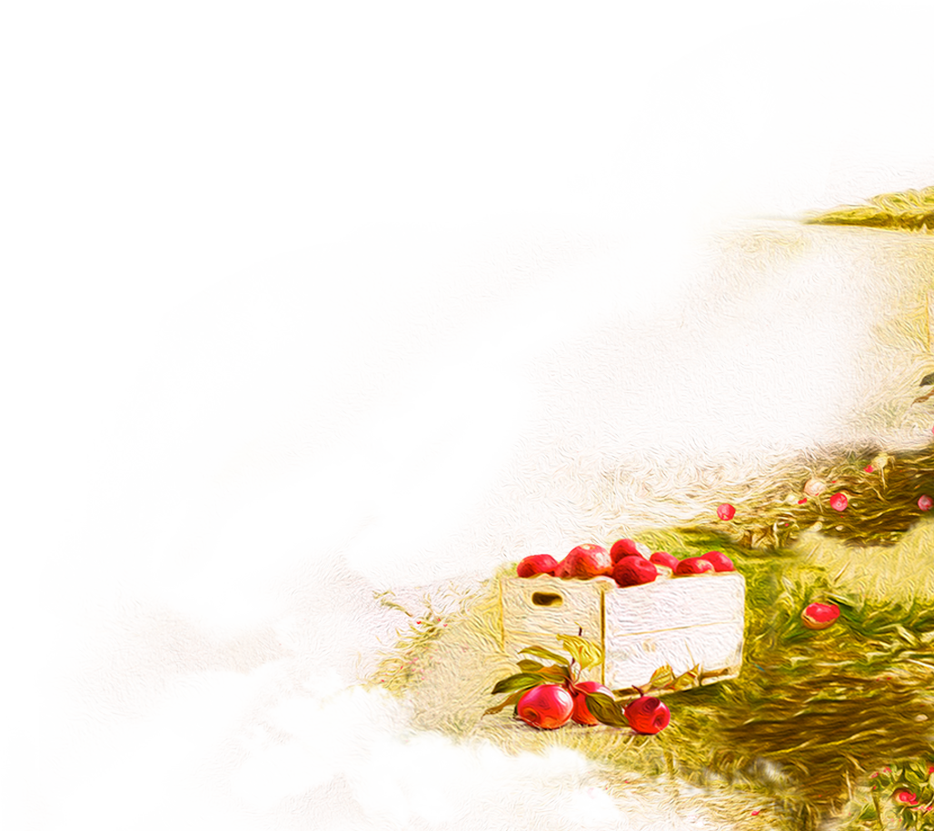 Apple Fox Clipart (1028x915), Png Download