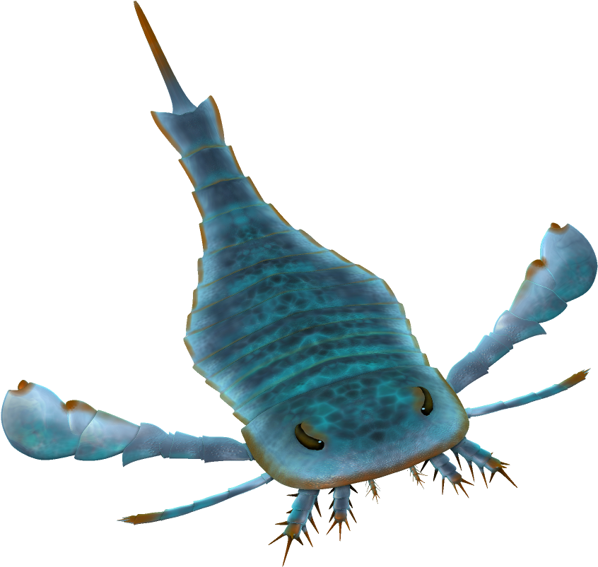 Eurypterus Paleoart - Squid Clipart (1024x938), Png Download