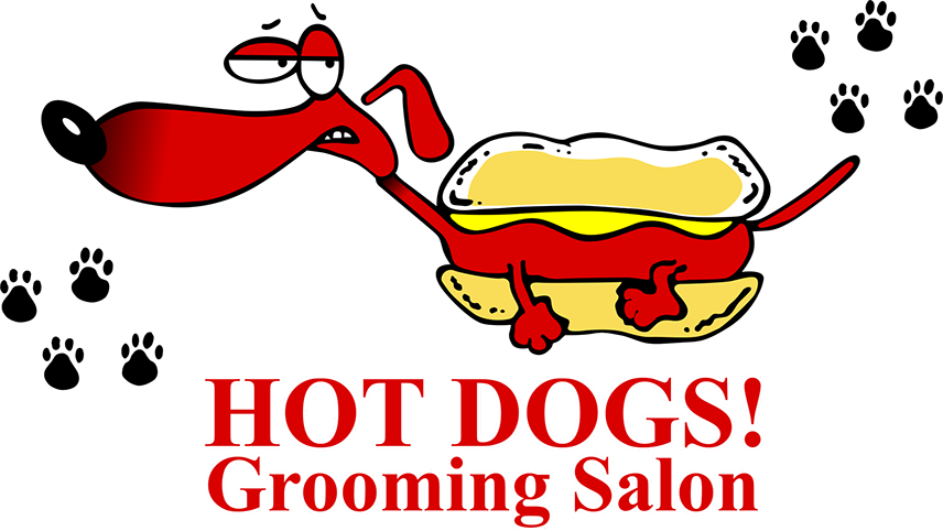 Hot Dog Cartoon Clipart (856x482), Png Download