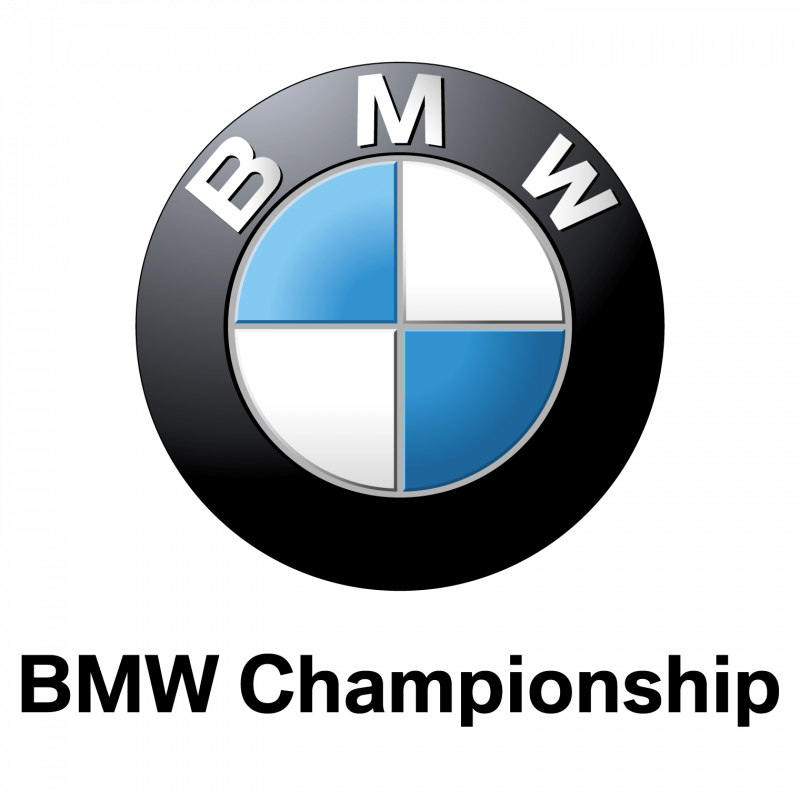 Bmw Emblem Png - Bmw Clipart (800x800), Png Download