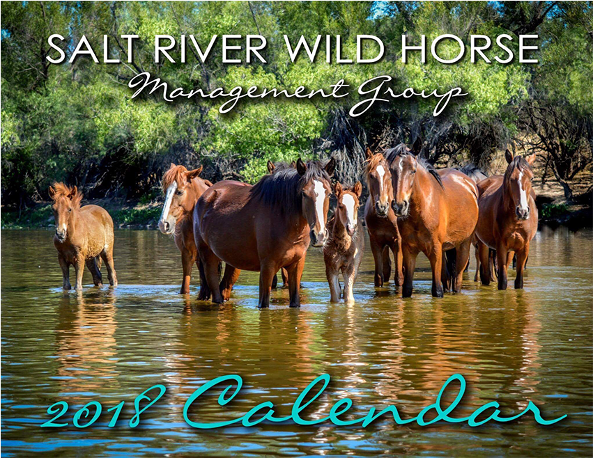 Salt River Wild Horse Management Group Calendar - Mustang Horse Clipart (850x850), Png Download