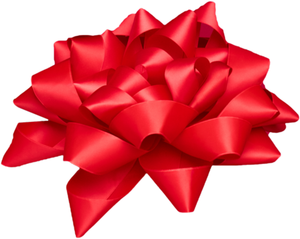 #bow #christmas #xmas #red #gift #presents #sarahmcauley - Cut Flowers Clipart (1024x817), Png Download