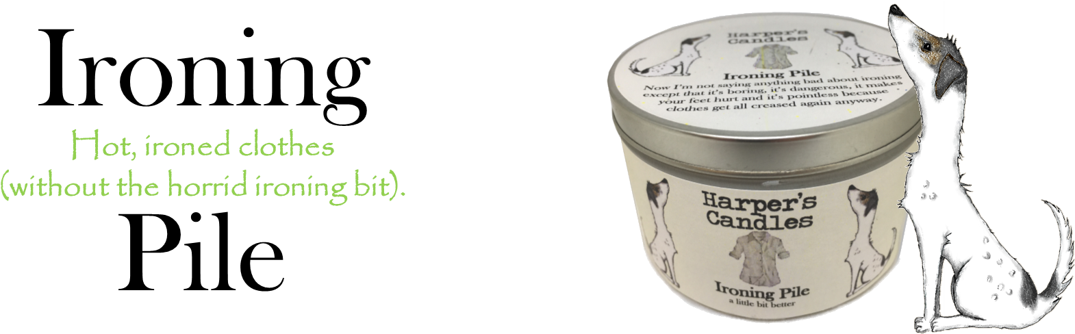 Insect Clipart (1838x493), Png Download