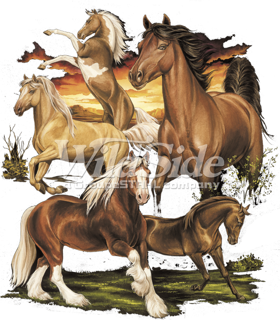 Horse Collage - Sorrel Clipart (675x675), Png Download