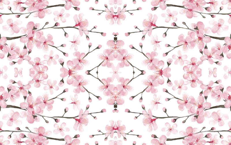 Cherry Blossom Watercolor // Cherry Blossom Floral - Cherry Blossom Clipart (800x502), Png Download