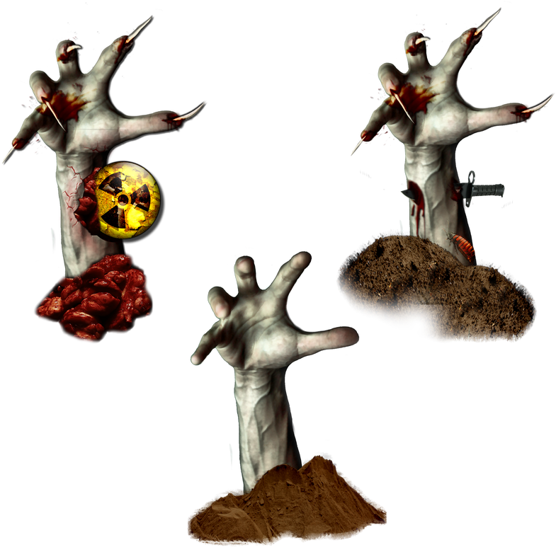 Illustration Clipart (800x800), Png Download