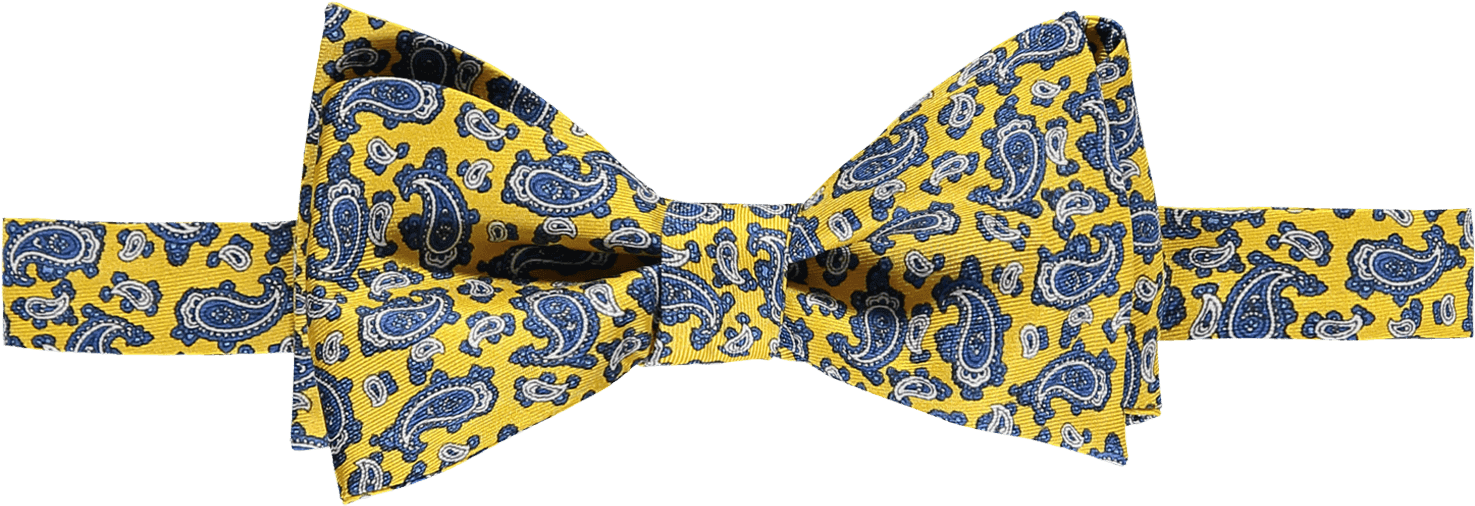 Silk Bow Tie - Paisley Clipart (1500x1500), Png Download