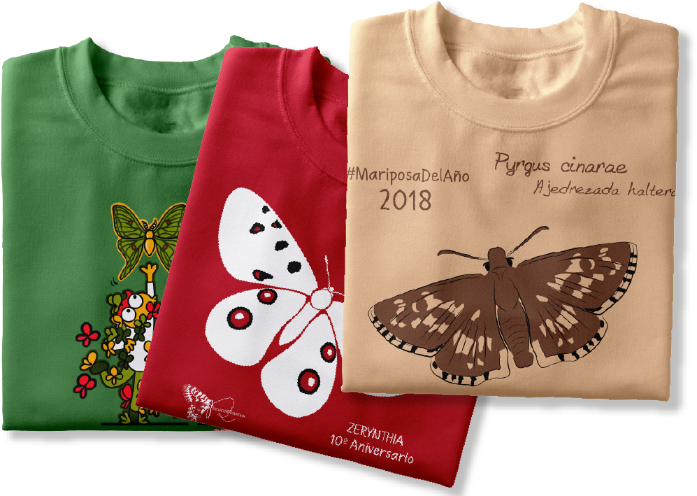 Agradecimiento A Las Personas Que En Cada Convocatoria, - Pattern Clipart (1267x719), Png Download