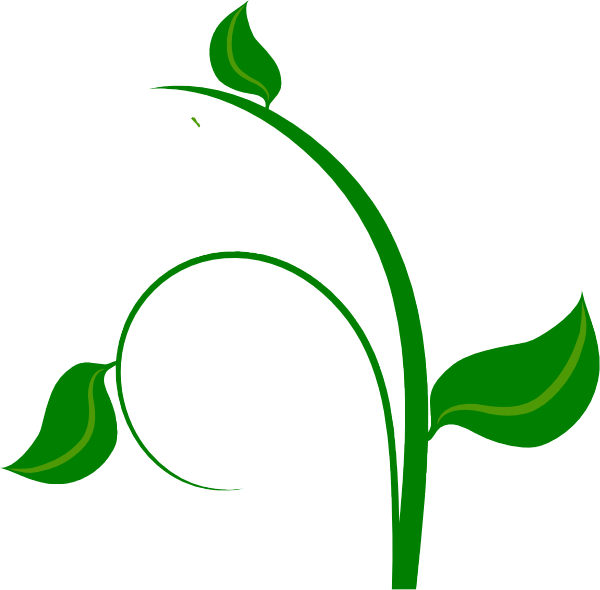 Vines Clipart Rainforest Vine - Green Leaf Png Vector Transparent Png (600x590), Png Download