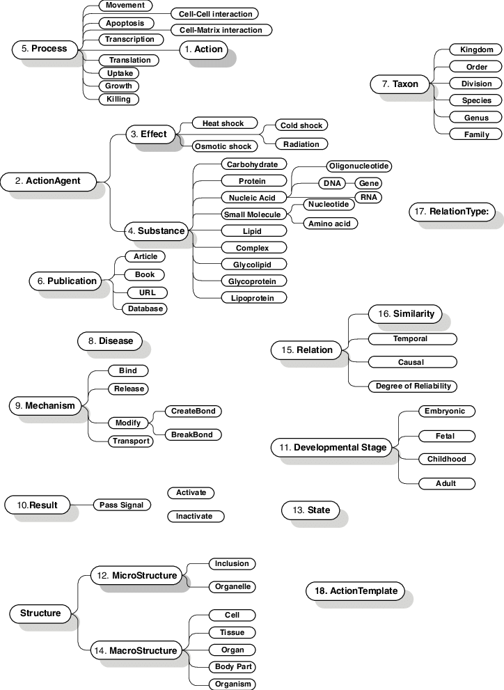 Top Level Taxonomy Of Concepts - Line Art Clipart (724x991), Png Download