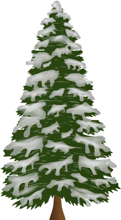 Free Png Pine Tree With Snow Png Png - Pine Tree With Snow Clip Art Transparent Png (480x853), Png Download
