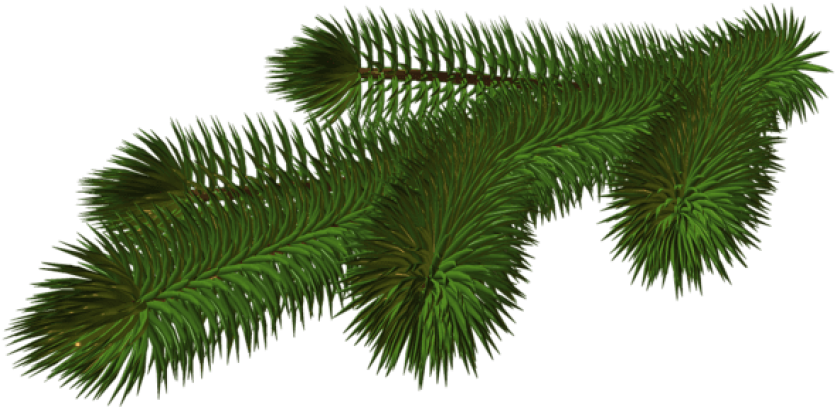 Free Png Transparent Pine Branch 3d Png - Christmas Tree Branches Clipart (850x421), Png Download