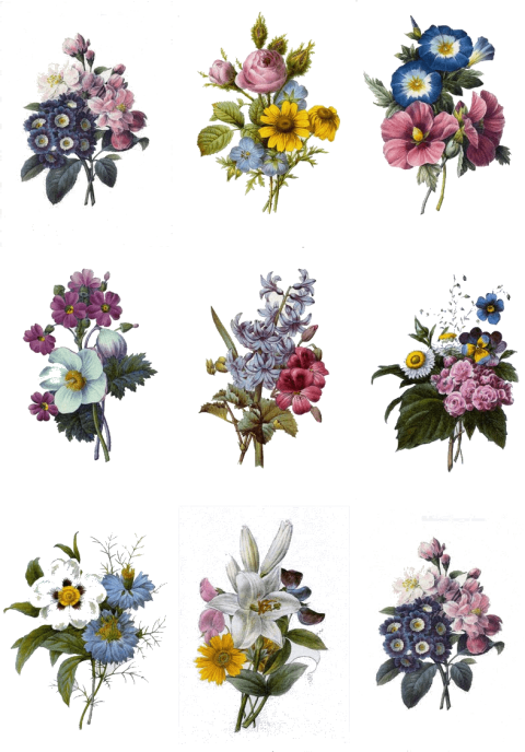 Free Png Download Colorful Flowers Tattoo Designs Png - Vintage Flower Png Png Clipart (480x688), Png Download