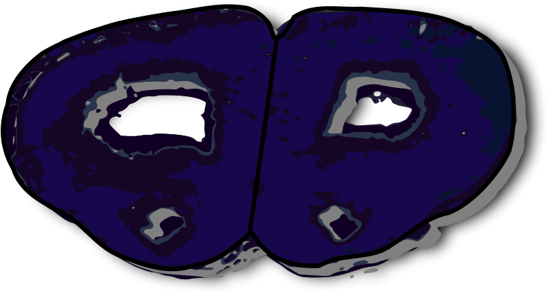 Illustration Clipart (800x435), Png Download