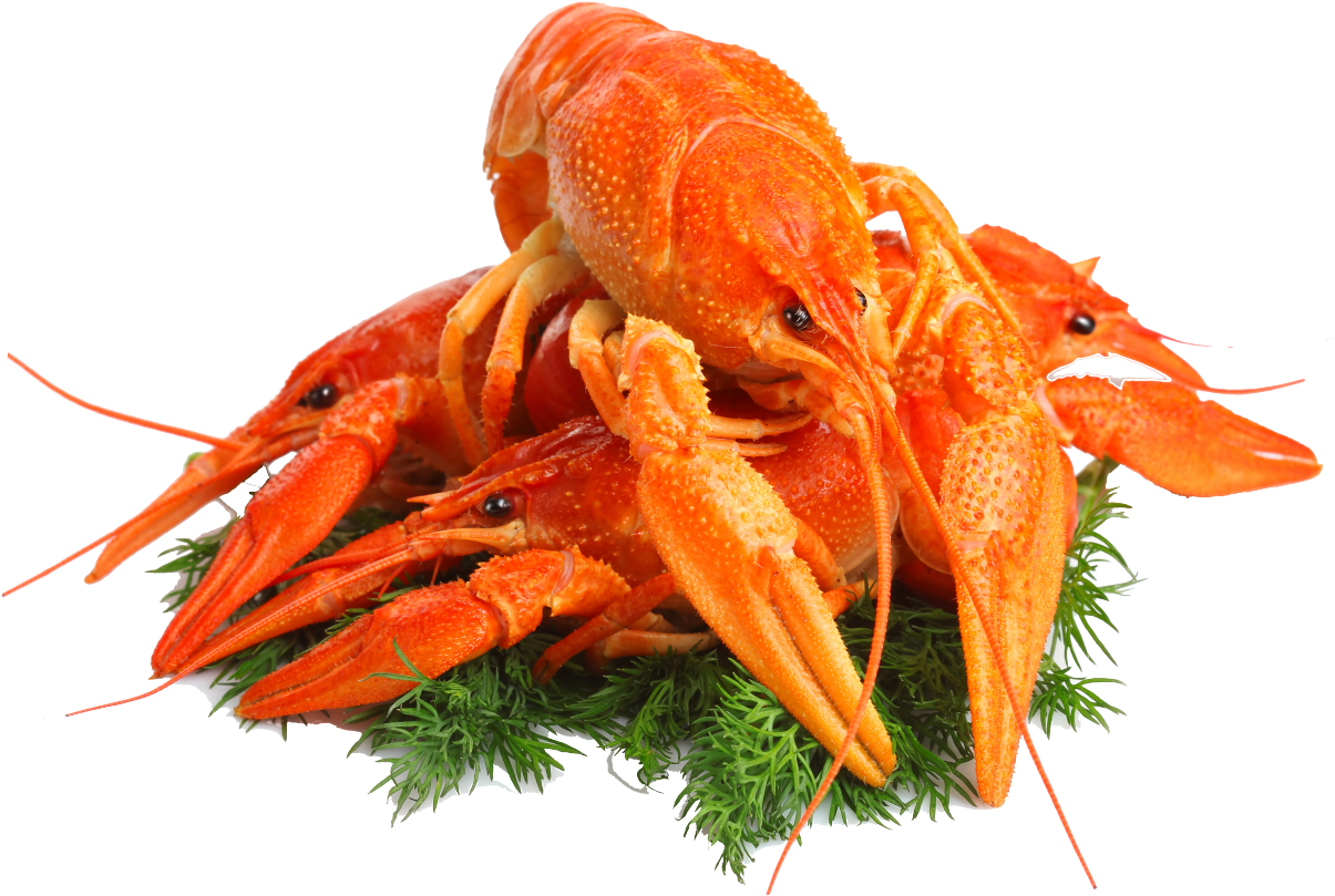 Lobster Png Clipart (1280x904), Png Download