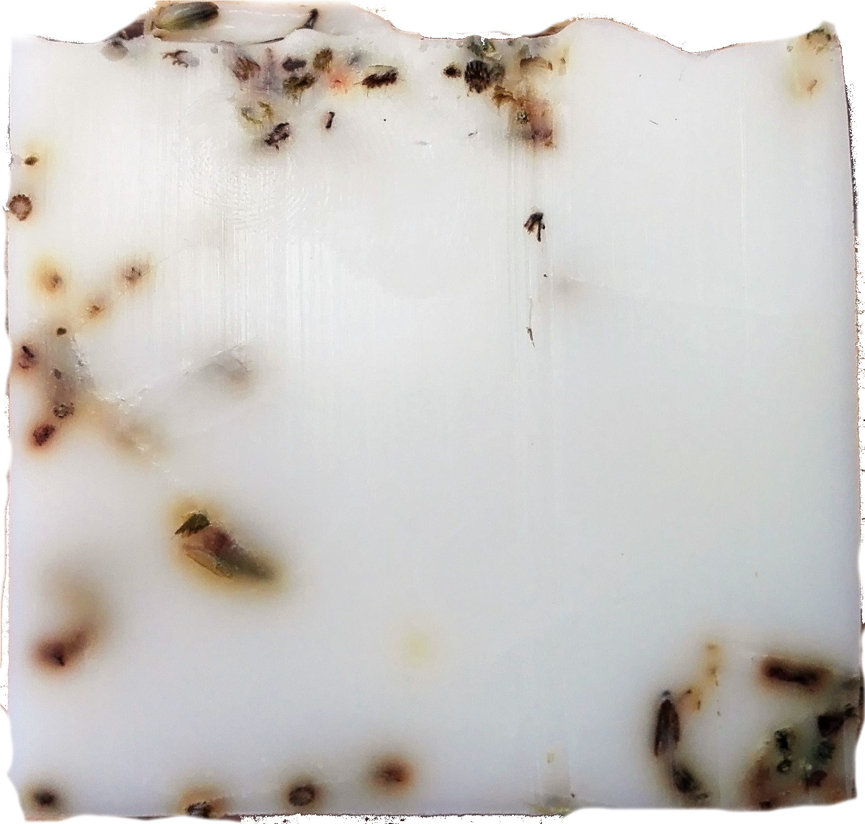 Png Lavender And Seeds Soap With Shea Butter By Babylontree - Wood Clipart (2333x2333), Png Download