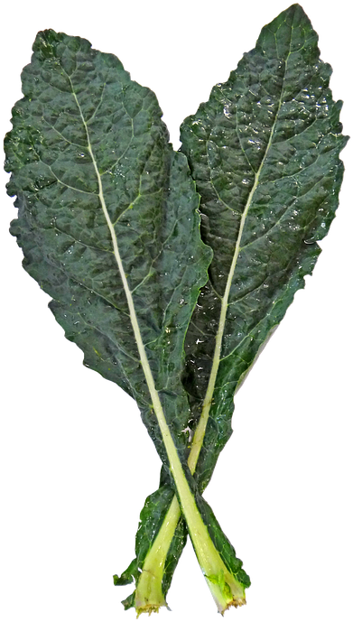 Kale Png Clipart (429x720), Png Download