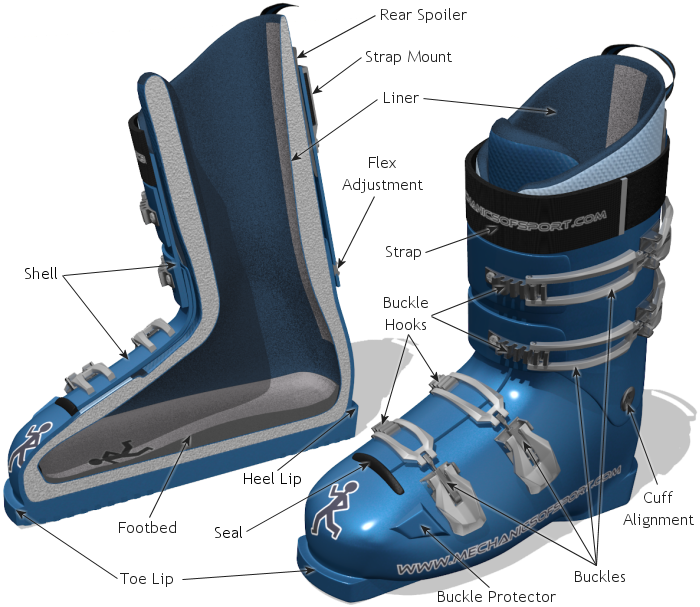 Ski Boot Parts - Downhill Ski Boot Clipart (700x607), Png Download