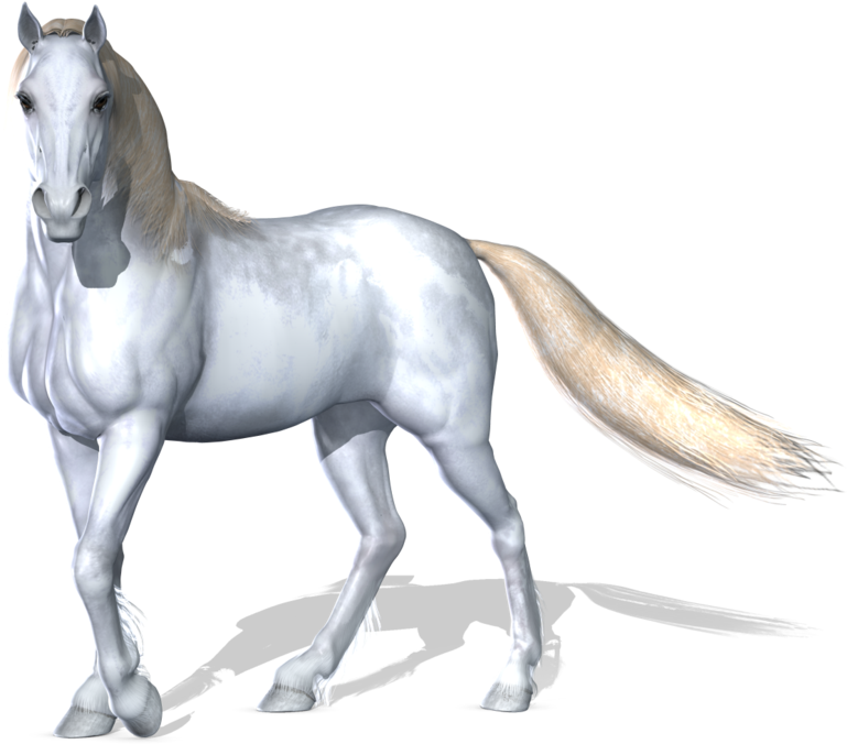 Transparent Horses Fantasy - White Horse Png Clipart (900x696), Png Download