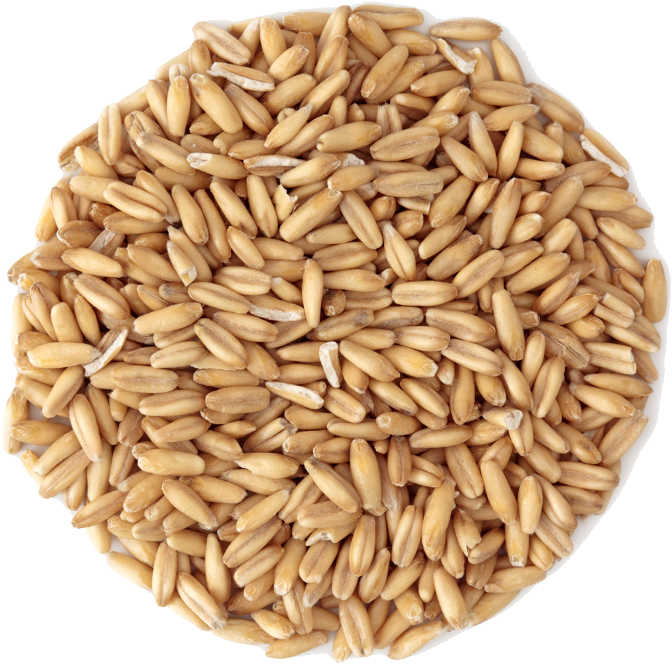 Small Pile Of Grain Clipart (968x957), Png Download