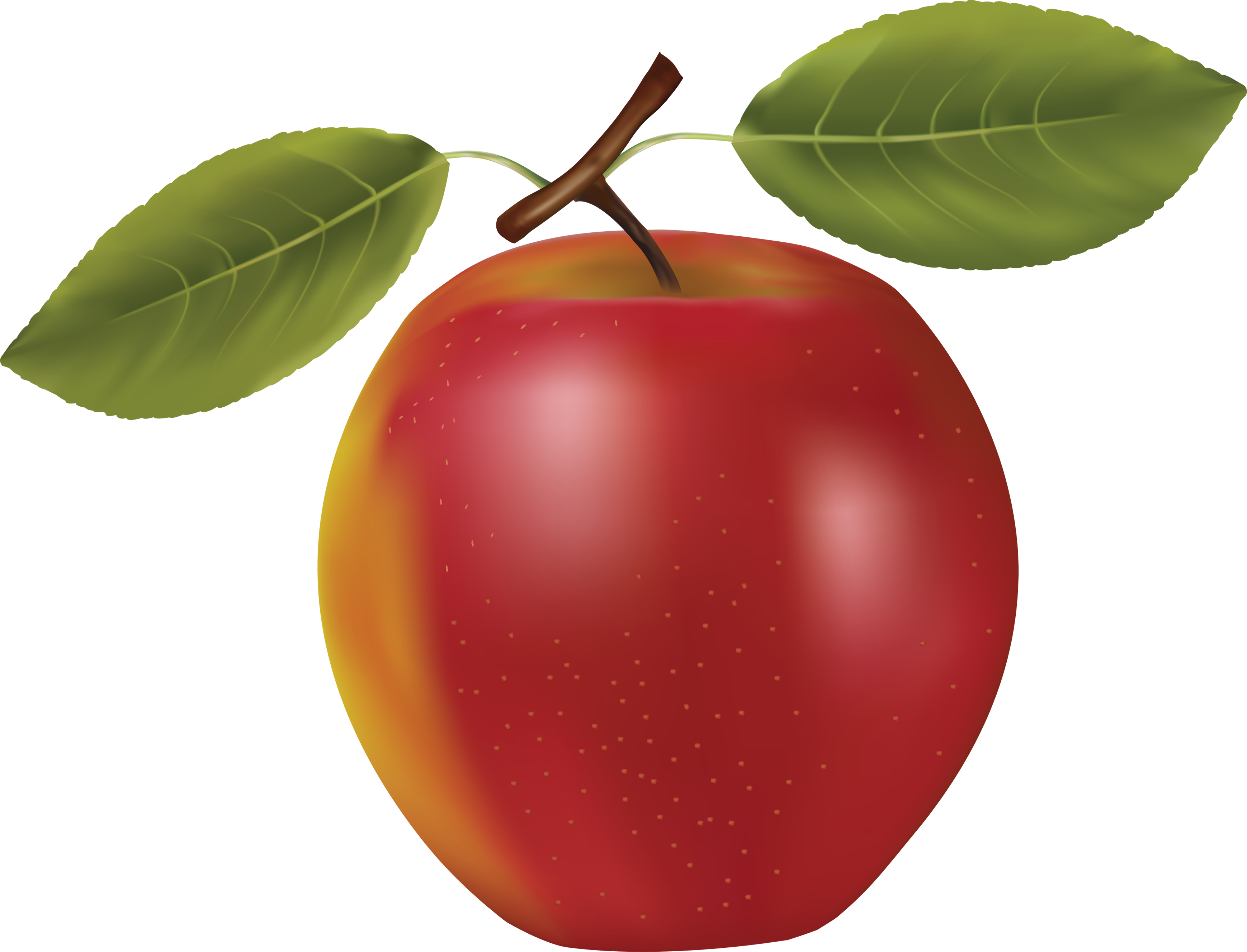 Apple Png Icon - Vector Graphics Clipart (3477x2655), Png Download