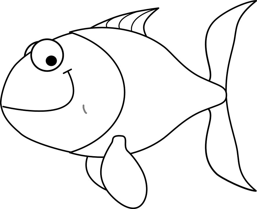 Black Cliparts Shop Of Library - White Fish Clipart - Png Download (885x720), Png Download