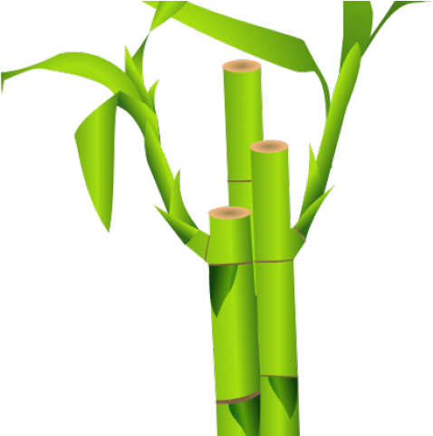 Bamboo Clipart Bamboo Tree - Transparent Bamboo Clip Art Png (640x480), Png Download
