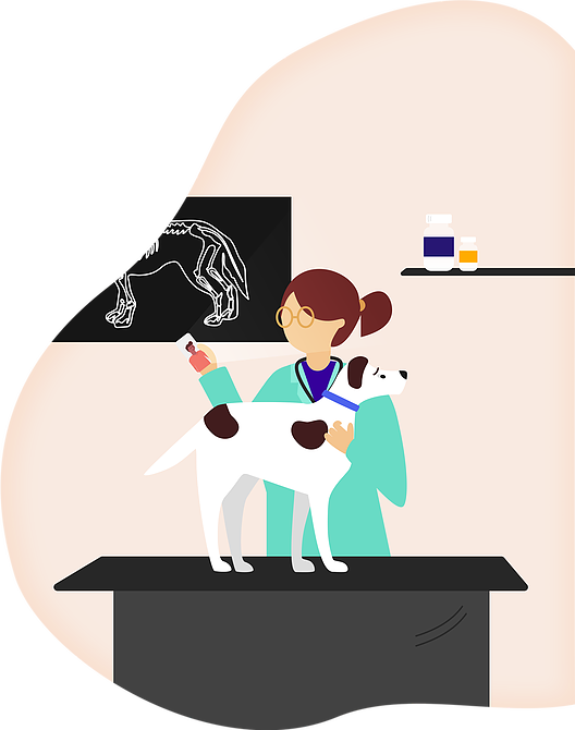 Vet - - Cartoon Clipart (528x670), Png Download