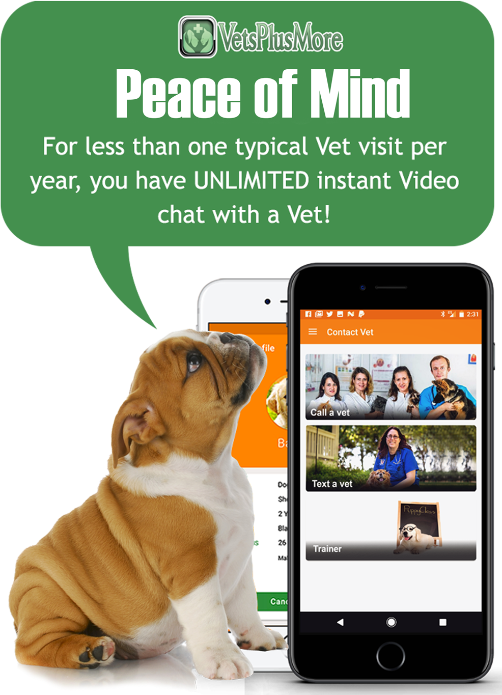 Regional Government Of Castile-la Mancha Clipart (1000x1397), Png Download