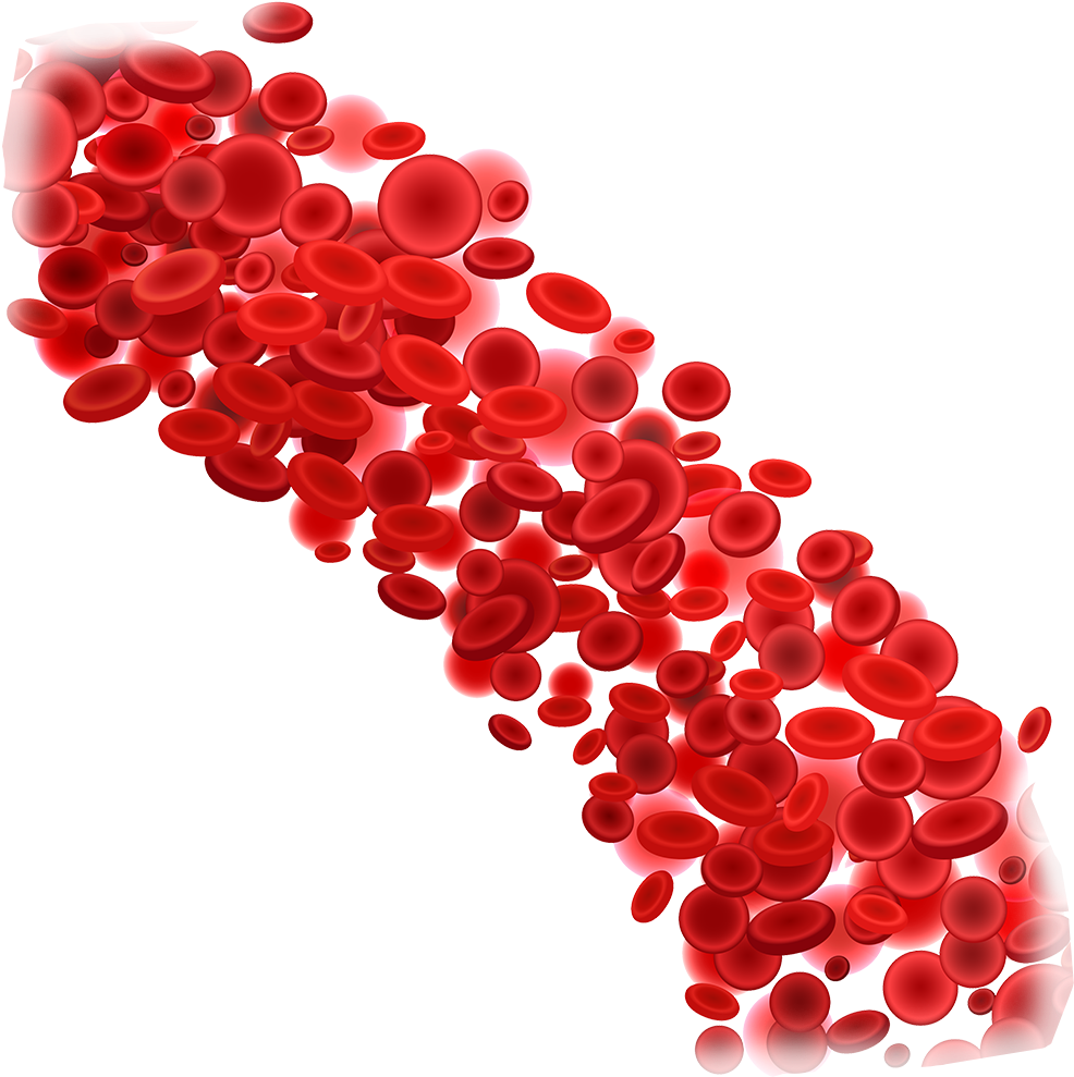 Blood Donation Download Png Image - Red Blood Cells Png Clipart (1000x1000), Png Download