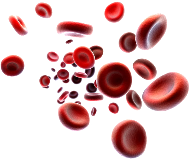 #plasma #redbloodcell #redblood #blood #red #ftestickers - Blood Platelet Png Clipart (668x560), Png Download