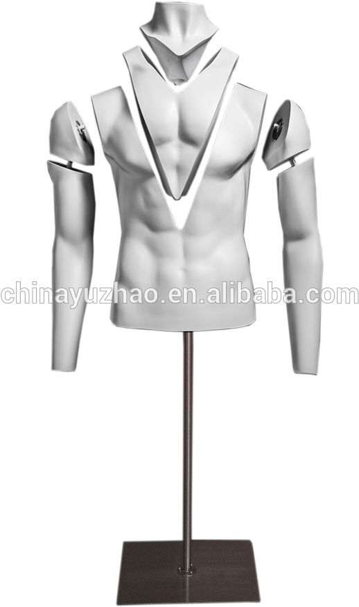 China Dummy White, China Dummy White Manufacturers - Photographic Men Adjustable Torso Dummy Clipart (1000x1000), Png Download