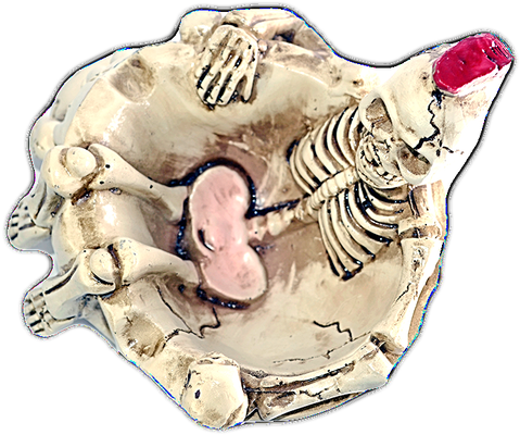 Skeleton Ashtray With Premium Look - Skull Clipart (497x622), Png Download
