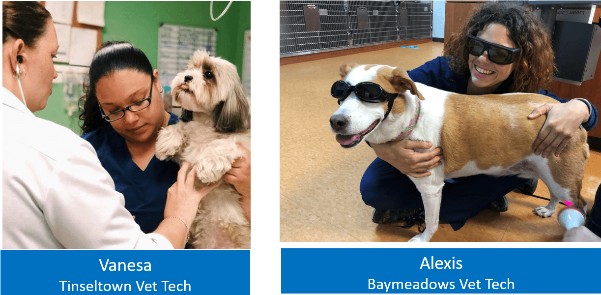 Vet Techs1 Forever Vets Animal Hospital Florida - Companion Dog Clipart (1222x620), Png Download