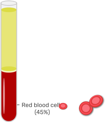 Animation Slide Showing The 45% Or Red Blood Cells - Red Blood Cell Clipart (666x550), Png Download