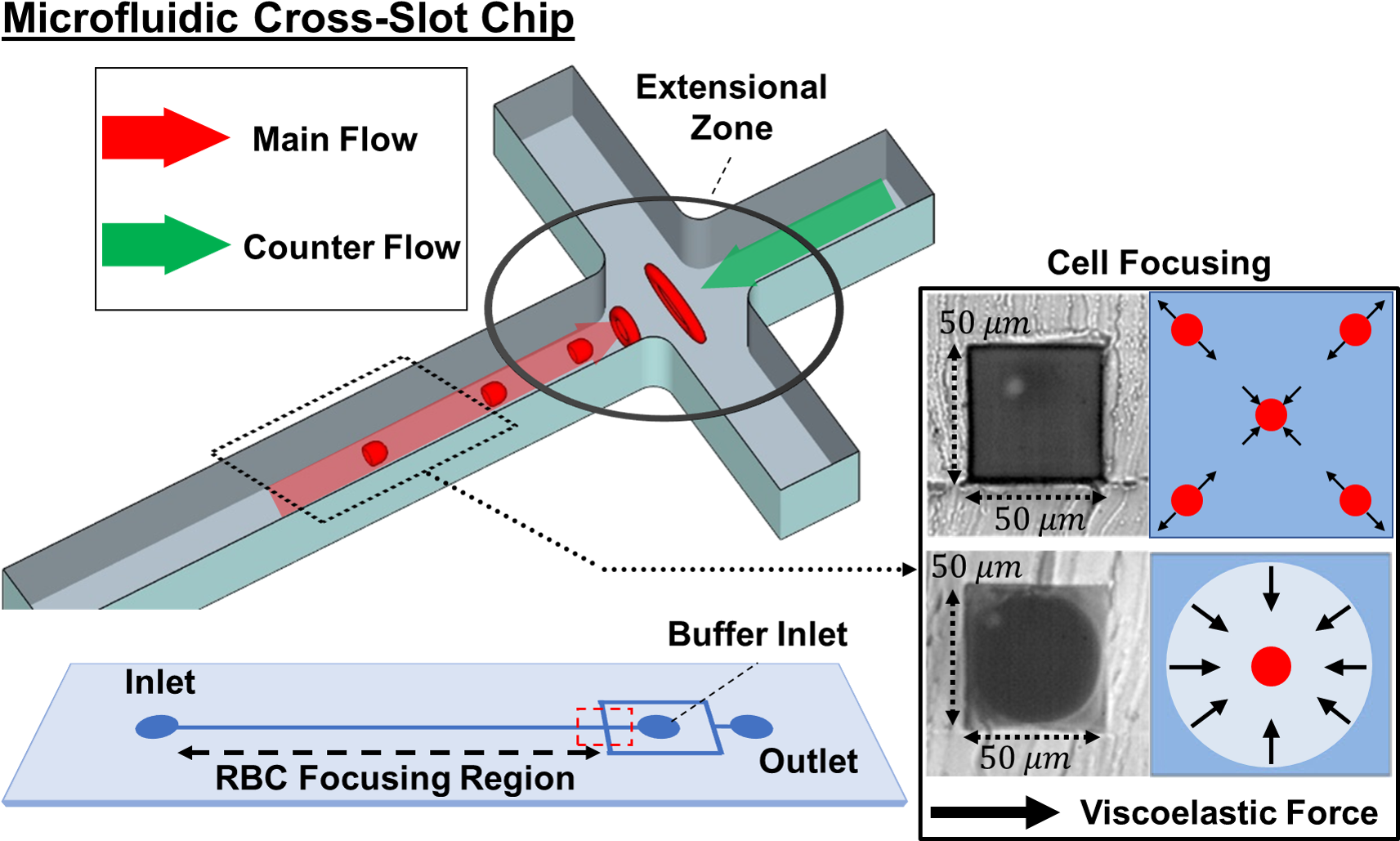 Alterations In Red Blood Cell Deformability Modulate - Aerospace Engineering Clipart (1752x1071), Png Download