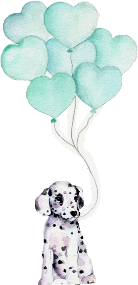 Dalmatian Clipart (480x992), Png Download