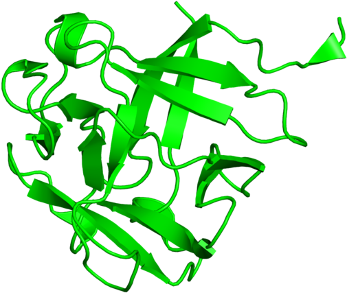 Graphic Design Clipart (800x800), Png Download