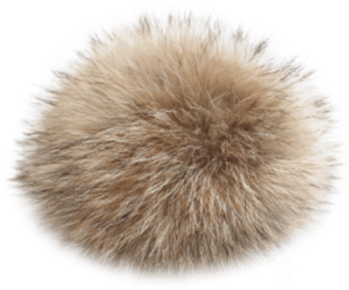 Coyote Poms - Transparent Fur Pom Pom Png Clipart (500x750), Png Download