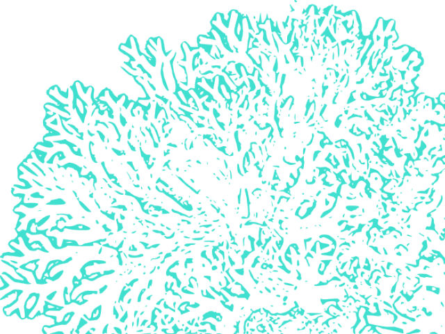 Coral Reef Clipart Cartoon - Transparent Coral Reef Clipart - Png Download (640x480), Png Download