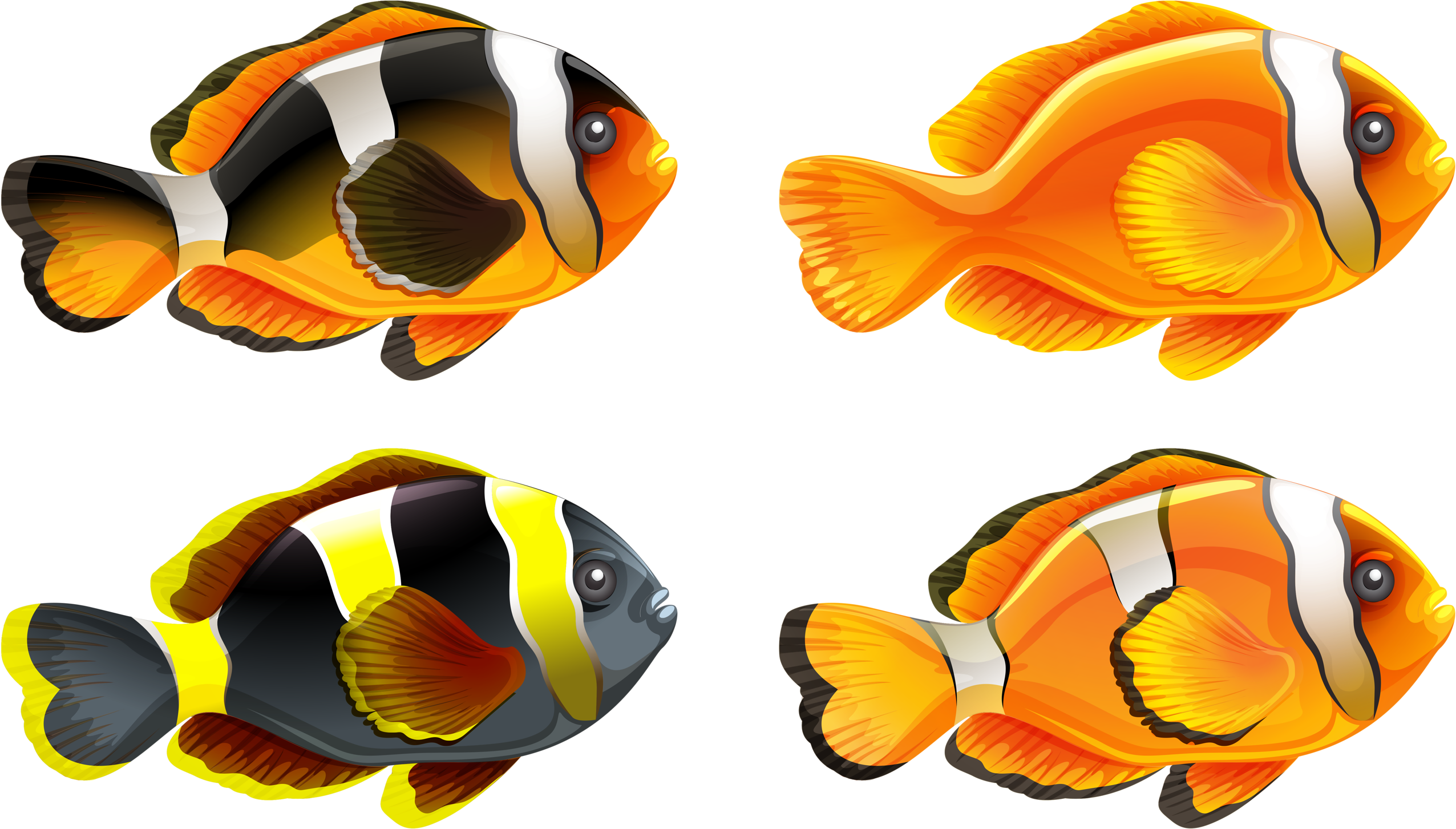 Picture Library Png Pinterest Fish Clip Art And - Things That Starts With Letter C Transparent Png (2552x1453), Png Download